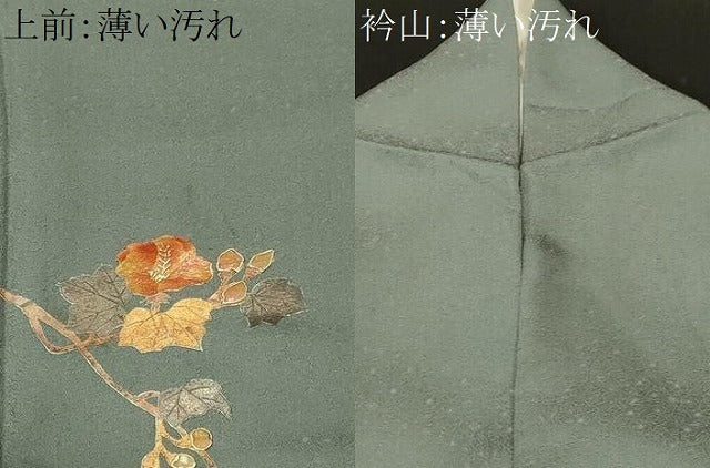 平和屋着物■訪問着 螺鈿 枝花文 暈し染め 金彩 正絹 逸品 CABL3398ev