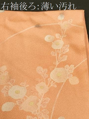 平和屋着物■上質な小紋 枝万寿菊文 暈し染め 金彩 正絹 逸品 CABL3422ev