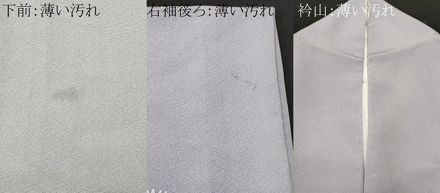 平和屋着物■訪問着 作家物 枝松文 暈し染め 金銀彩 正絹 逸品 CABL3545ev