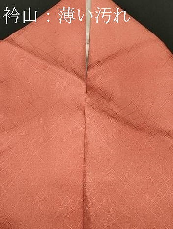 平和屋着物■訪問着 木の実枝葉文 暈し染め 正絹 逸品 CABL3661ev