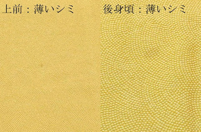 平和屋着物■江戸小紋 鮫小紋柄 正絹 逸品 CABL3681ev