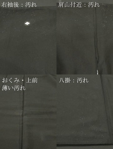平和屋着物■豪華黒留袖 地紙重ね飛鶴雪輪花文 金彩 正絹 逸品 CABL3754ev