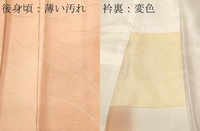 平和屋着物■上質な小紋 草花霞文 芝草地紋 暈し染め 正絹 逸品 CABL3805ev