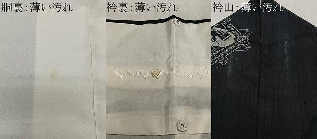 平和屋着物■上質な紬 幾何学鳥文 黒地 正絹 逸品 CABL4357ua