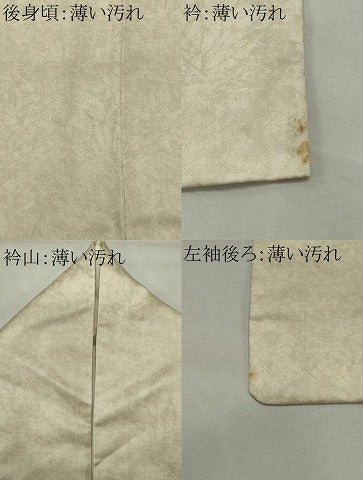 平和屋着物■訪問着 花唐草文 金彩 伊勢丹扱い 正絹 逸品 CABL5682ou