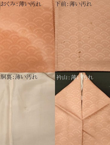 平和屋着物■訪問着 雲取り文 青海波地紋 正絹 逸品 CABL5740oy