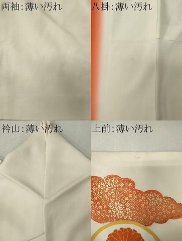 平和屋着物■訪問着 駒刺繍 雲取り花鳥丸文 金彩 正絹 逸品 CABL5813ou