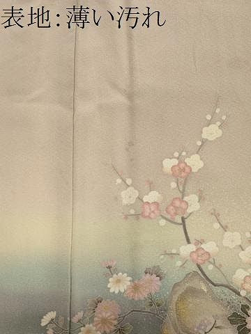 平和屋着物■訪問着 風景花鳥文 暈し染め 金彩 正絹 逸品 CABL5880ou