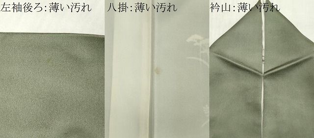 平和屋着物■訪問着 草花文 金彩 正絹 逸品 CABL5905ou