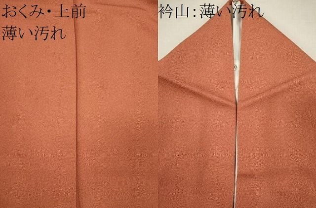 平和屋着物■江戸小紋 作家物 鮫小紋柄 ロング丈 正絹 逸品 CABL5957ou