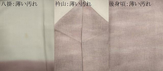 平和屋着物■上質な小紋 作家物 霞文 正絹 逸品 CABL5983ou