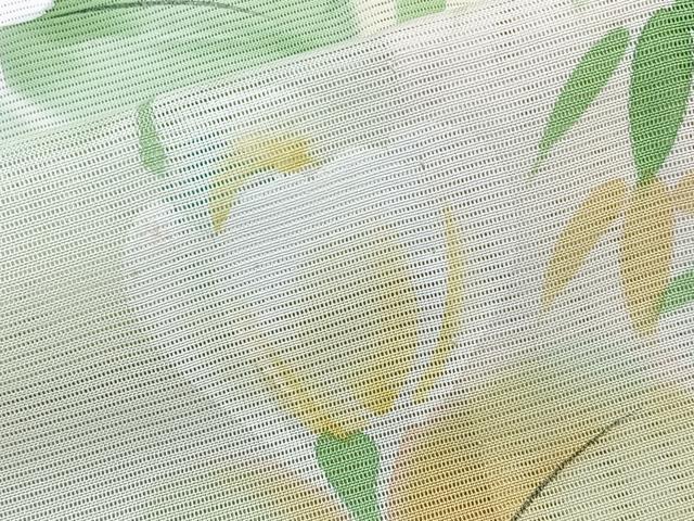 平和屋着物*夏物 訪問着 絽 手描き 枝草花文 正絹 逸品 未使用 CABL6847xi