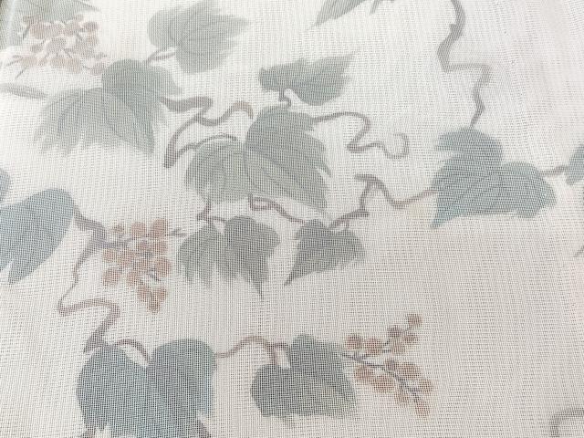 平和屋着物▽訪問着 無双 紗袷 紗×絽 手描き 葡萄蔦の葉文 正絹 逸品 CABL6991xi