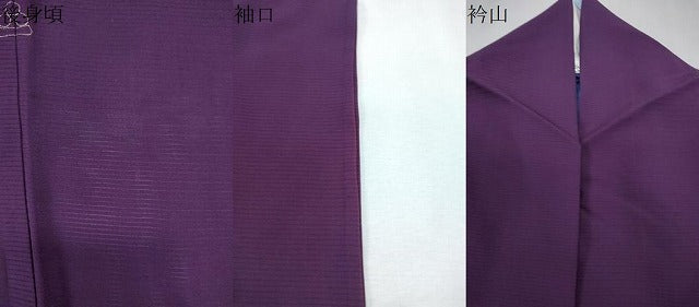 平和屋着物*夏物 色無地 絽 紫紺色 正絹 逸品 CABL8808th