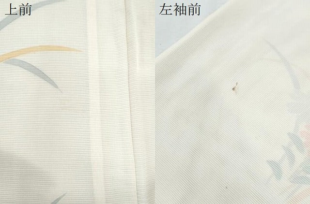 平和屋着物*夏物 訪問着 絽 友禅 草花文 暈し染め 正絹 逸品 CABL8844th