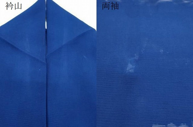 平和屋着物*夏物 訪問着 絽 花丸文 正絹 逸品 CABL8854th