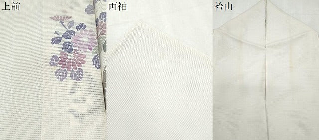 平和屋着物*夏物 訪問着 絽 友禅 草花文 正絹 逸品 CABL8904th