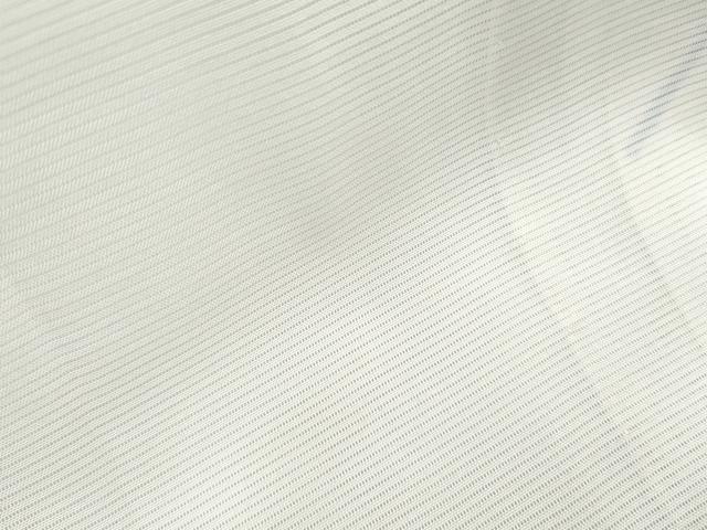 平和屋着物*夏物 訪問着 絽 友禅 草花文 正絹 逸品 CABL8904th