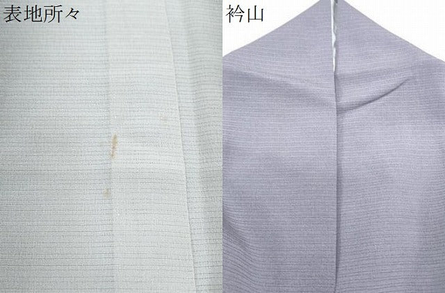 平和屋着物*夏物 小紋 絽縮緬 霞間道 暈し染め 正絹 逸品 CABL8960th