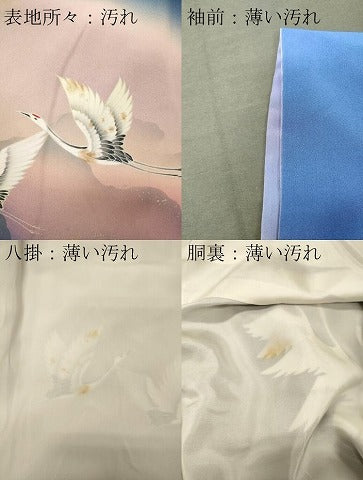 平和屋着物■訪問着 飛鶴文 暈し染め 金銀彩 正絹 逸品 CABM0894oy