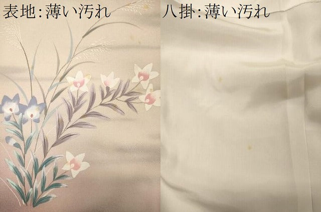 平和屋着物■訪問着 手描き 草花文 暈し染め 金彩 正絹 逸品 CABM0910oy