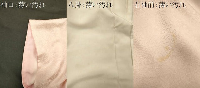 平和屋着物■訪問着 孔雀羽文 暈し染め 金銀彩 正絹 逸品 CABM1106oy