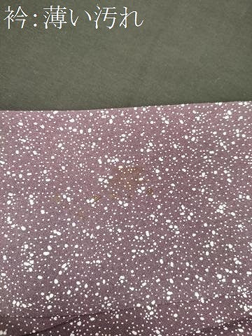 平和屋着物■訪問着 立波大小霰 正絹 逸品 CABM1108oy