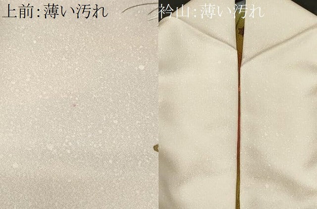 平和屋着物■訪問着 総刺繍 駒刺繍 流水鴛鴦草花文 暈し染め 金彩 正絹 逸品 CABM1271ev
