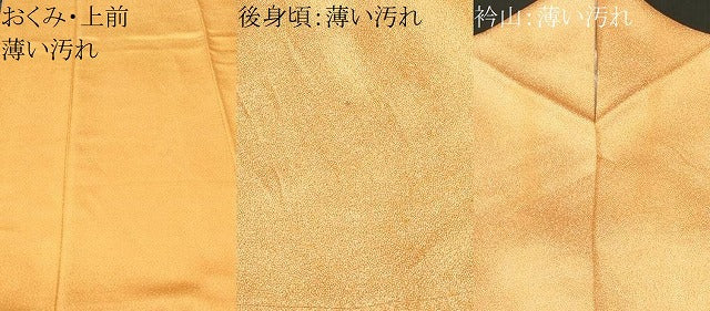 平和屋着物■上質な小紋 大小あられ 正絹 逸品 CABM1815ev
