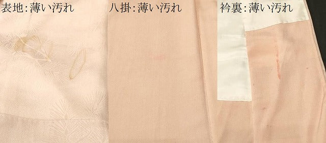 平和屋着物■訪問着 霞松葉地紋 暈し染め 正絹 逸品 CABM1837ev