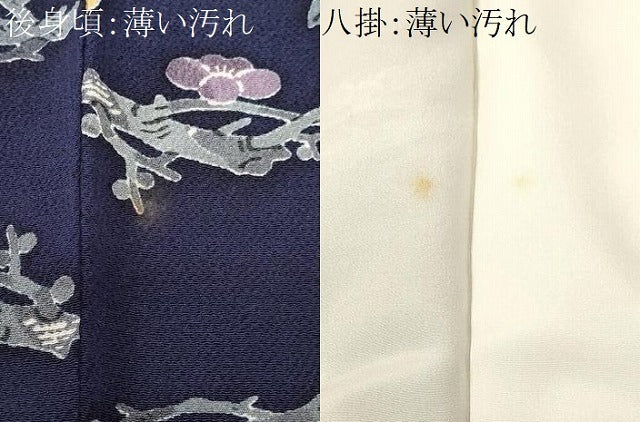 平和屋着物■上質な小紋 枝椿文 枝花文 鬼しぼ縮緬 正絹 逸品 CABM1968ev
