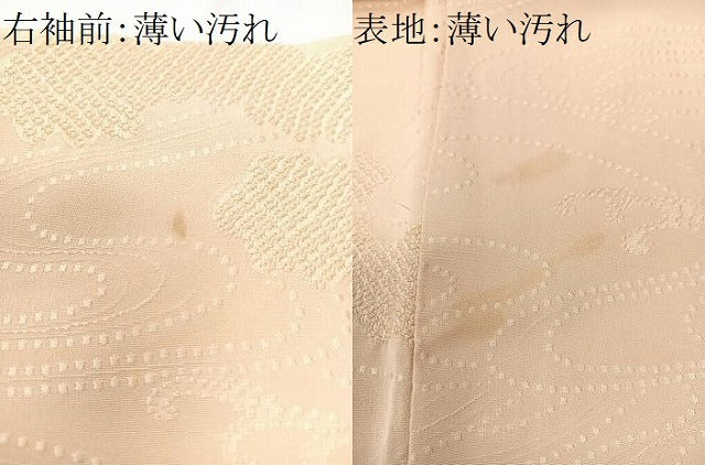 平和屋着物■上質な色無地 流水立波地紋 虹色 正絹 逸品 CABM2002xe