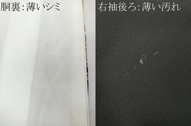 平和屋着物■豪華黒留袖 駒刺繍 花鳥鼓文 金彩 正絹 逸品 CABM2221xe