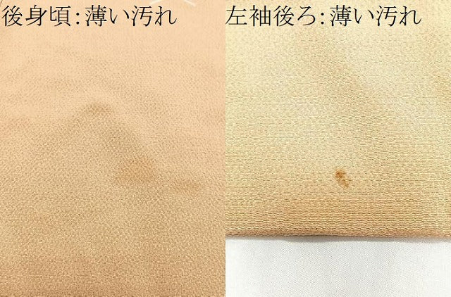 平和屋着物■上質な小紋 舞蝶文 鬼しぼ縮緬 正絹 逸品 CABM2257xe