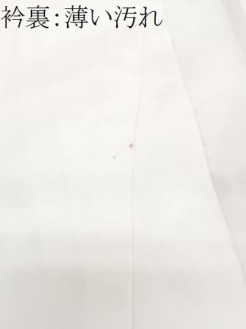 平和屋着物■上質な小紋 総絞り 正絹 逸品 CABM2386xe