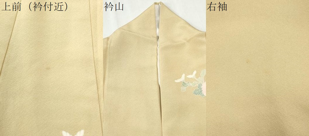 平和屋着物●訪問着 友禅 作家物 枝菊文 暈し染め 正絹 逸品 CABM3638yc