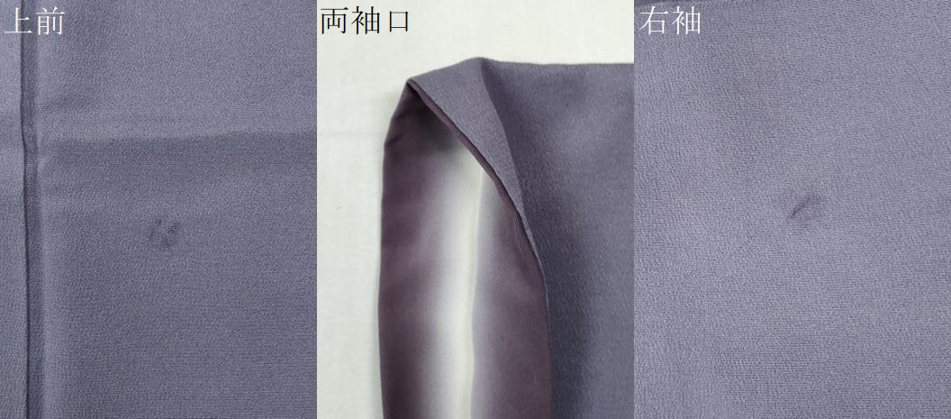 平和屋着物●上質な小紋 友禅 作家物 枝花文 鬼しぼ縮緬 正絹 逸品 CABM3640yc