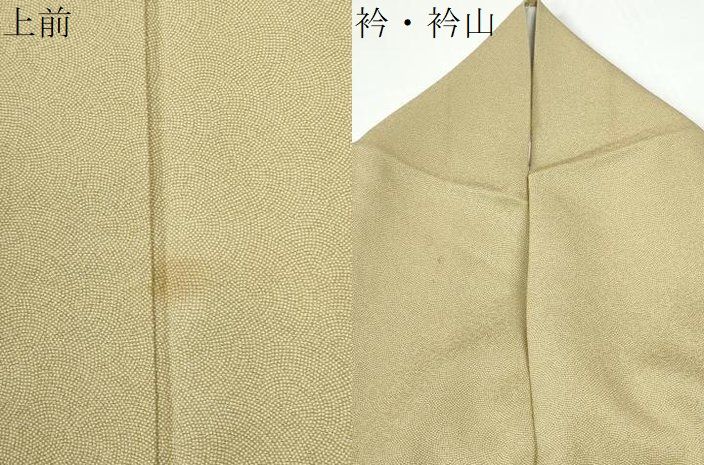 平和屋着物●江戸小紋 鮫小紋柄 正絹 逸品 CABM4779yc