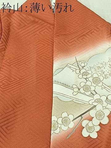平和屋着物■豪華振袖 御所車草花文 暈し染め 金彩 正絹 逸品 CABM6593ua