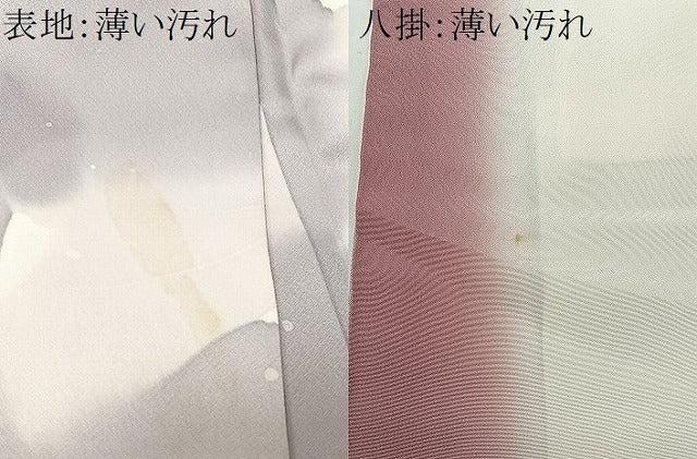 平和屋着物■上質な小紋 葡萄蔦の葉文 暈し染め 正絹 逸品 CABM6596ua