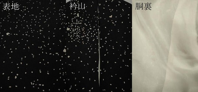 平和屋着物●上質な小紋 霞文 黒地 正絹 逸品 CABM9253ut
