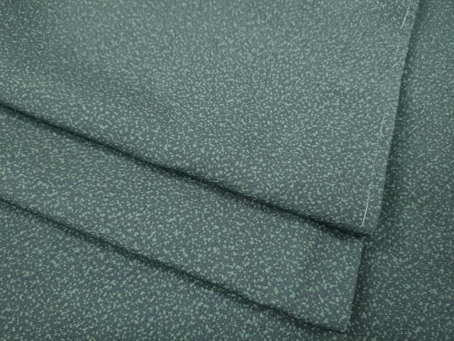 平和屋着物●江戸小紋 霞文 さが美扱い 正絹 逸品 未使用 CABM9295ut