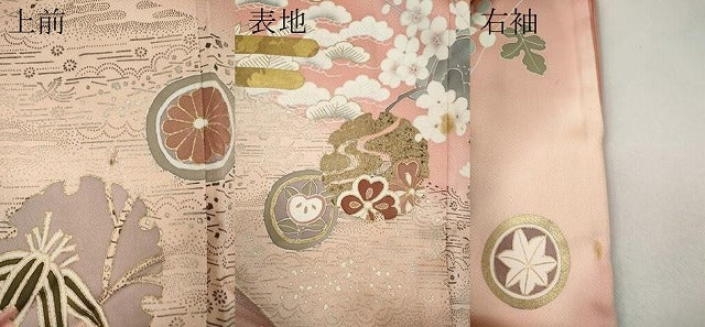 平和屋着物●訪問着 御所車雪輪花蝶文 暈し染め 金彩 正絹 逸品 CABM9454ut