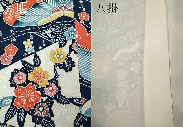 平和屋着物●訪問着 型染め 松花文 鬼しぼ縮緬 正絹 逸品 CABM9466ut