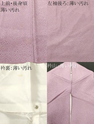 平和屋着物■江戸小紋 寄せ小紋柄 正絹 逸品 CABN1205ev