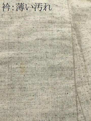 平和屋着物■上質な紬 間道 正絹 逸品 CABN1361ev