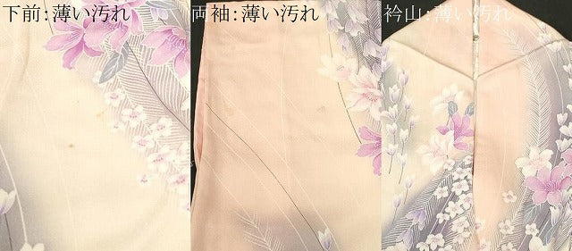 平和屋着物■上質な小紋 羽 草花文 暈し染め 正絹 逸品 CABN1370ev