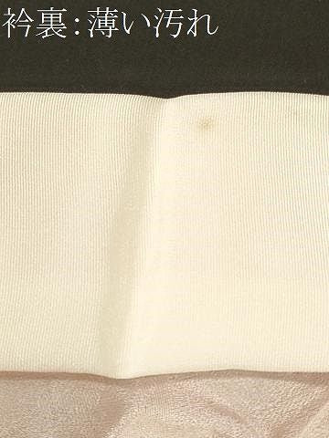 平和屋着物■長襦袢 無双仕立て 遠山枝花地紋 暈し染め 正絹 逸品 CABN1669ev