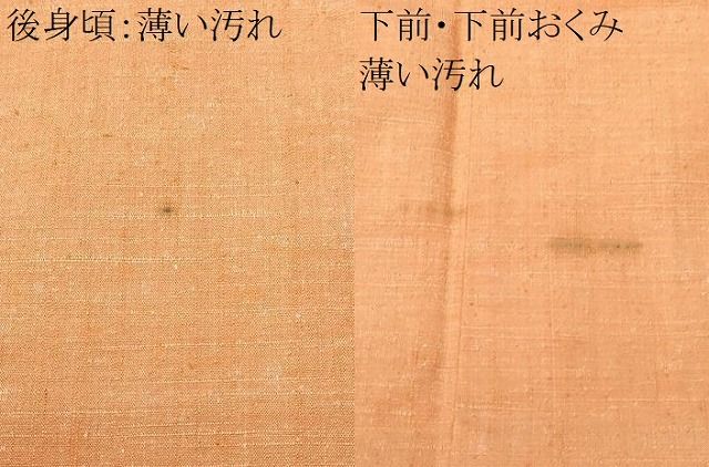 平和屋着物■上質な紬 霞文 正絹 逸品 CABN1721ev