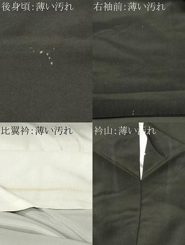 平和屋着物■黒留袖 総刺繍 尾長鳥 金銀糸 洗える着物 CABN1846ev